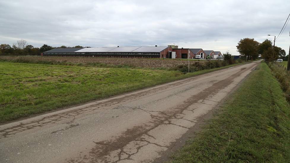 Van Dijk kocht het bestaande vleeskuikenbedrijf in 2001. De afgelopen jaren sloopte de familie beide oude stallen en zette een compleet nieuw bedrijf neer. Drie stallen zijn allemaal 25 bij 120 meter binnenwerk en bieden plaats aan 62.500 vleeskuikens. „D