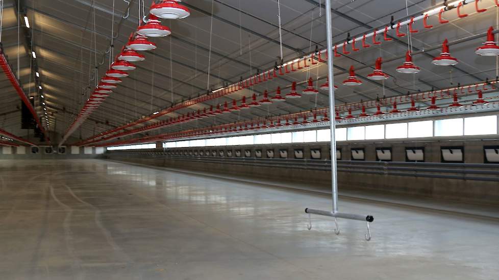 Vader bedacht het luie boeren systeem (LBS)-systeem. „Aan de drie haken kan ik drie emmers hangen om de dode kuikens in te doen. Dat verlicht het werk en dat is welkom in de grote stallen waar we ieder 62.500 kuikens houden”, motiveert Pieter-Jan. De stan