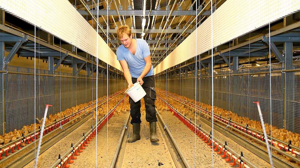 Beeld ter illustratie