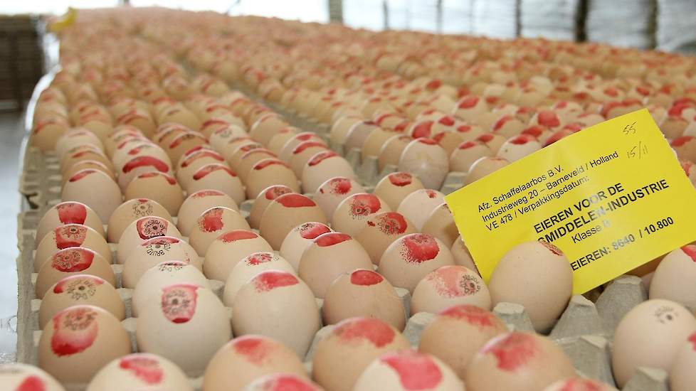 Broederijen leveren ook de zogenaamde kanteieren; kleine broedeieren die niet geschikt zijn om in te leggen en dubbeldooiers. De eieren voor de foodindustrie moeten gemerkt binnen komen. De linkse fabriek is volledig gescheiden en verwerkt de foodproducte