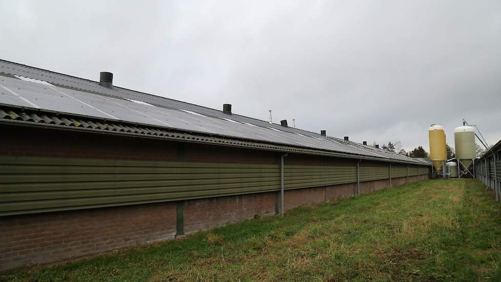 Op de daken van beide stallen liggen zonnepanelen.
