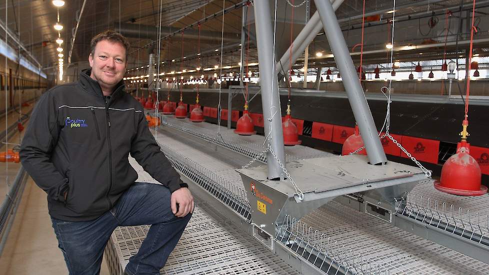 De vermeerderaar houdt nu voor het eerst onbehandelde dieren. „Ik heb nog nooit pikstenen of luzerne geplaatst en ga ervan uit dat het nu ook niet nodig is. Dankzij een snelle voerverdeling houd je een koppel beter uniform. Indien ik hennen zie sabbelen a