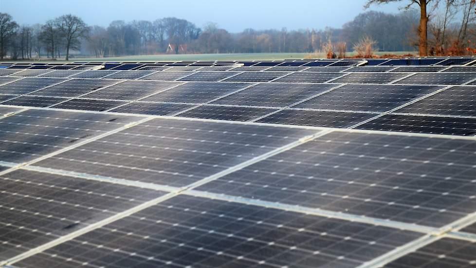 Leghennenhouder bindt strijd aan met zonneakker van 21 hectare