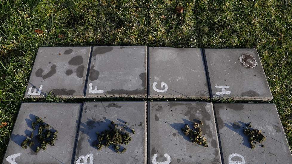 Testlocatie: wilde eenden- en smientenmest op een betonnen oppervlak