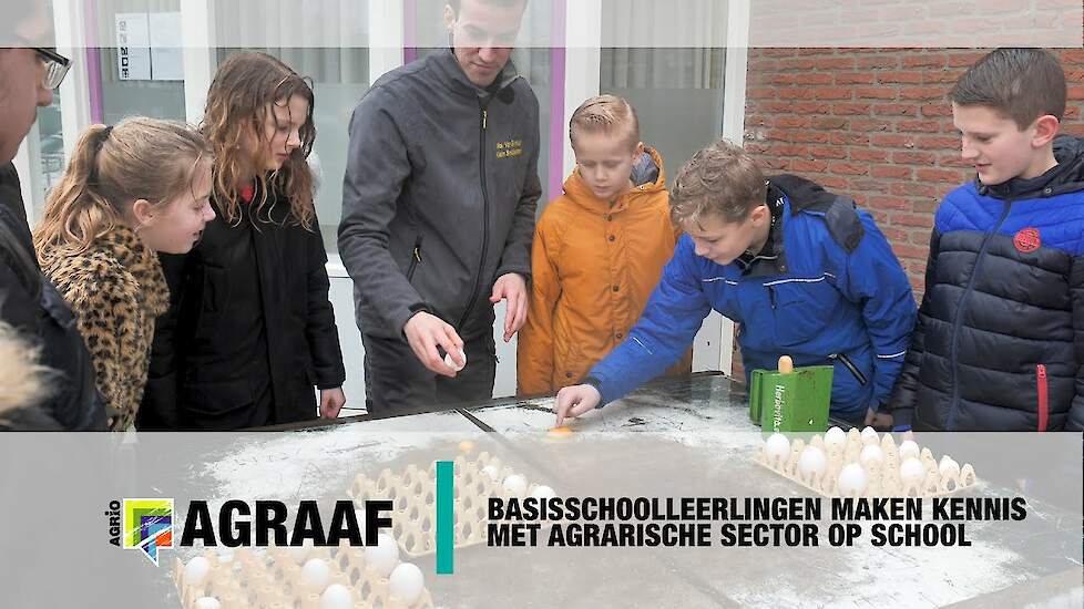 Basisschoolleerlingen maken kennis met agrarische sector op school