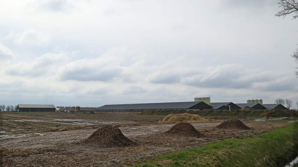 Links het bestaande bedrijf met 6 stallen aan de Meerweg. Rechts de nieuwbouw aan de Vorrelveenseweg. Vier stallen van 115 bij 22 meter voor 186.000 kuikens. Pomper heeft de stallen zo ingericht dat het houden van conceptkuikens ook mogelijk is.