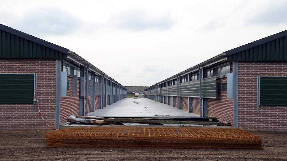 Tussen de stallen heeft Pomper beton laten storten. „Beton is brandveiliger en goed schoon te houden wat minder kans geef top ongedierte of vervuiling”, aldus Erik Pomper. De stallen zijn voorzien van daglicht via een lichtstraat van diffuus glas.