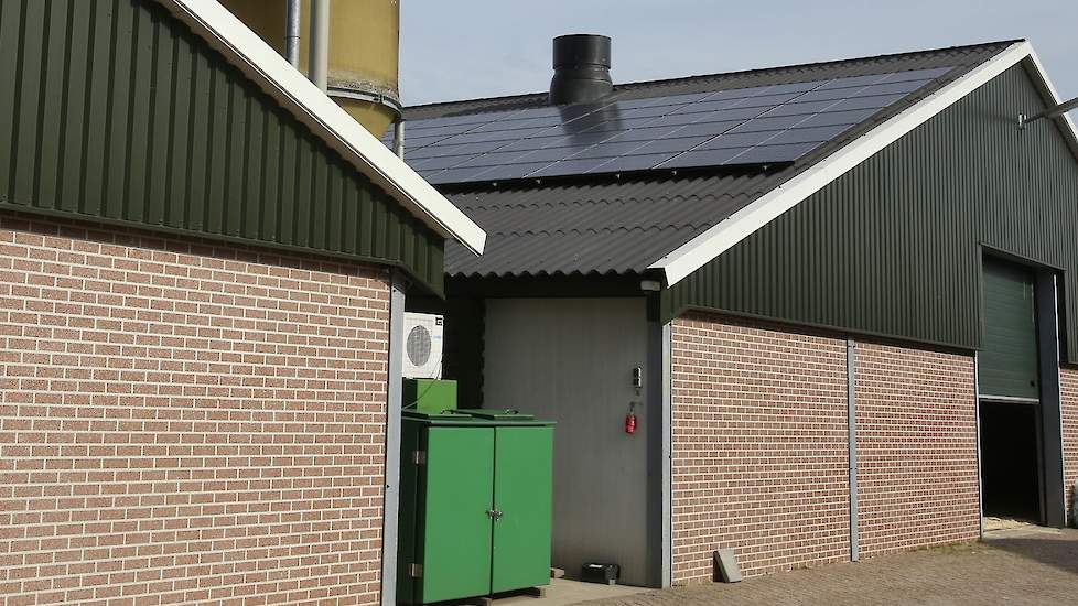 Op een aantal van zijn staldaken liggen zonnepanelen, voor 100.000 kilowattuur (kWh), zodat de opfokker zelfvoorzienend is qua elektriciteitsverbruik.