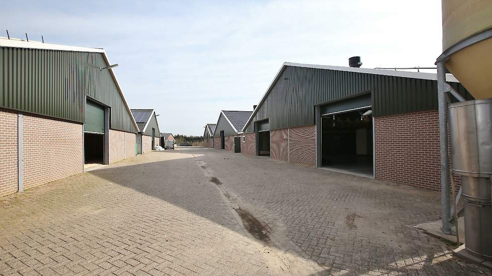 Een overzichtsfoto van het erf van Heusinkveld met rechts vooraan zijn beide nieuwe stallen. Links daartegenover staan twee stallen uit 2012 en achteraan rechts een stal uit 2009. De opfokker uit het Achterhoekse Heelweg bouwde vanaf 2009 tot nu vijf nieu