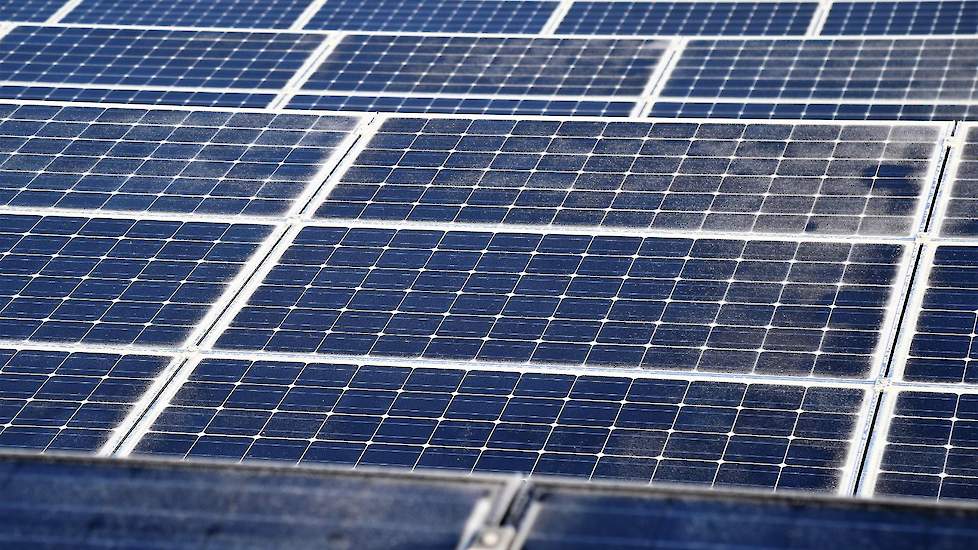 Groen licht voor aanleg zonneveld in Hijken: Bezwaar leghennenhouder afgewezen