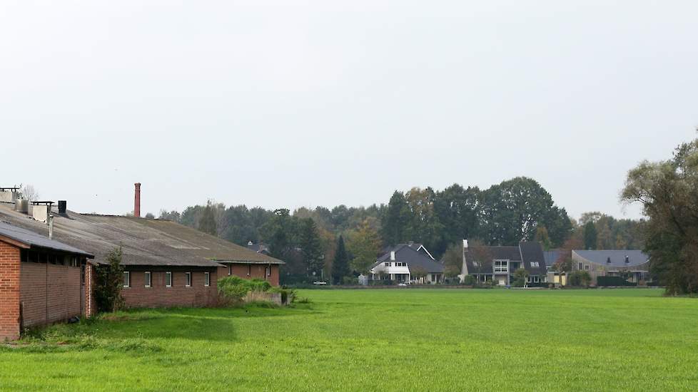 Beeld ter illustratie