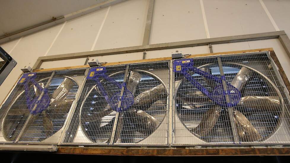 De familie bouwde enkele nieuwe lengteventilatoren in de stal (foto) en liet de bestaande lengteventilatoren zitten. Die ventilatoren kan de familie op extreem hete zomerdagen inschakelen.