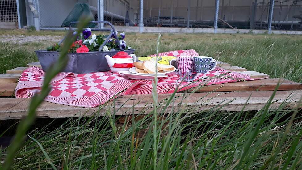 Er liggen enkele pallets in het land waar burgers even op veilige afstand van anderen uit kunt rusten. Burges kunnen hier picknicken in het zicht van de kippen. Chicknicken noemt Natalie Verbeek van Rondeel Vaassen dit.