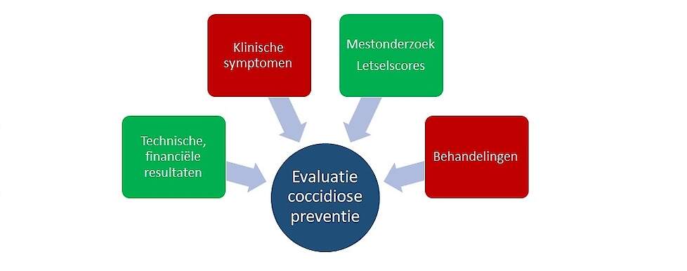 Parameters om na te gaan of coccidiose onder controle is.