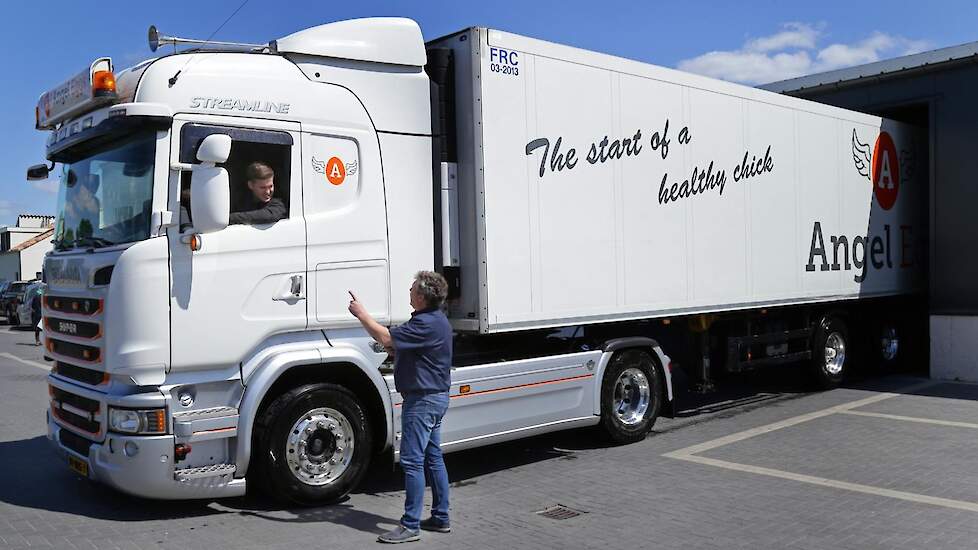 Met twee vrachtwagens haalt de broedeihandelaar de broedeieren in Nederland op. Engelen was de eerste afnemer die broedeieren op pallets laadde bij vermeerderaars omdat er dan meer broedeieren in de vrachtwagen kunnen en de handelingskosten verlaagd.