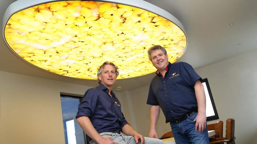 Twan en Jeroen (links) Engelen zetten in 2012 hun eigen exportbedrijf voor broedeieren op omdat ze ontevreden waren over hun positie als vermeerderaar van vleeskuikenouderdieren. Nu exporteert Angel Eggs ruim 100 miljoen broedeieren per jaar, waarvan 80 p