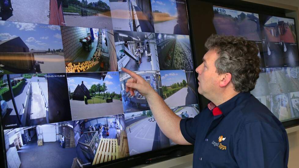 Op kantoor ziet  Twan realtime alle locaties met kippen en eieren. Twan (46) is de handelsman en Jeroen (42) is de spin in het web die thuis op de bedrijven overal van op de hoogte is. De broers zijn eigenaar van drie opfok- en vermeerderingslocaties met