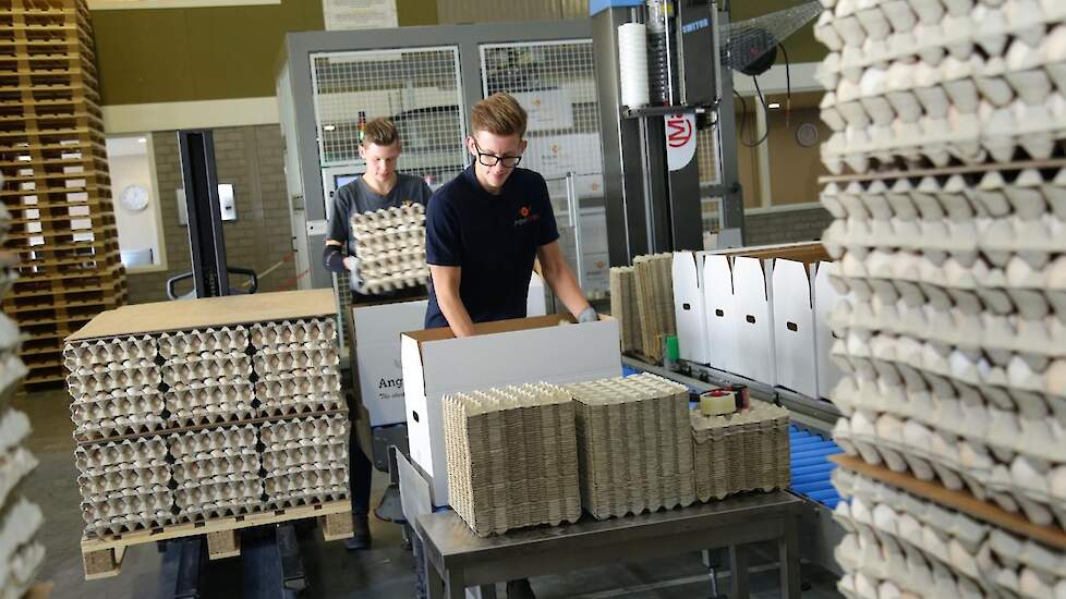 De broedeieren worden naar wens klant geleverd in dozen of pallets. De verpakkingsmachines kon Engelen overnemen van een failliete broedeihandelaar. „We hebben de vouwmachine aangepast zodat de plakrand bovenop komt. Dat werkt efficiënter. Arbeid is de du