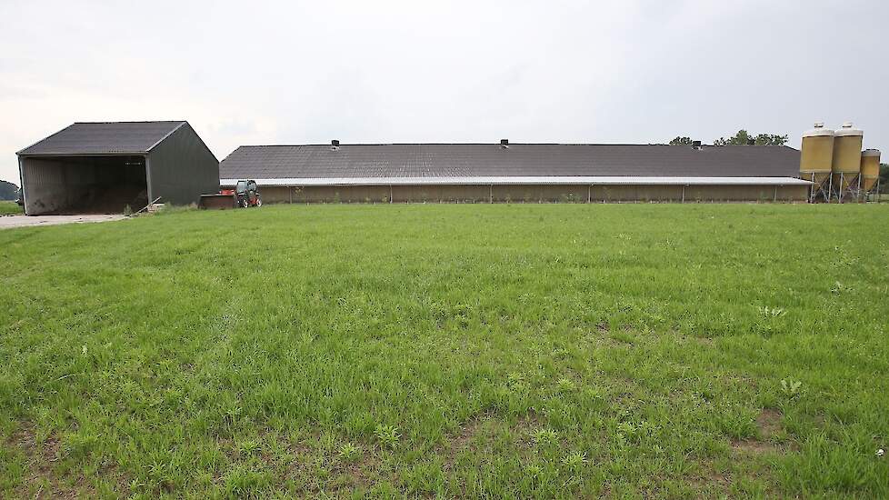 Zijn volièrestal uit 2005 staat een stuk verder dan zijn voormalig ligboxenstal. Daar tussenin staat de mestloods. Toen hij in 2004 startte met de bouw was hij aanvankelijk van plan om vrije uitloop hennen te houden in de stal. „De KAT-regels veranderden