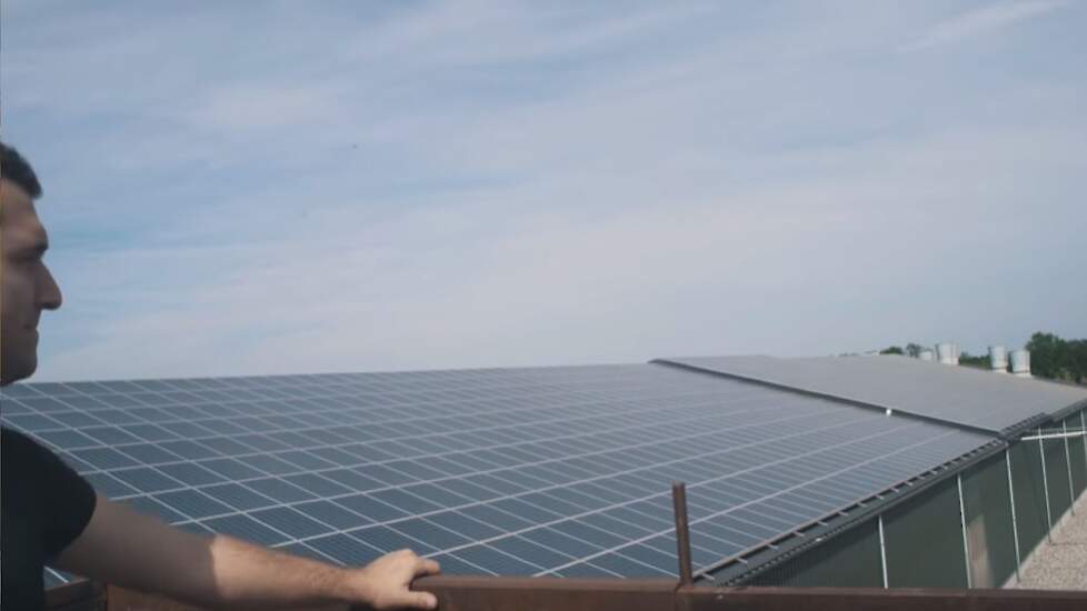 Op hun nieuwste stal uit 2014 liggen 1400 zonnepanelen. „Om volledig energieneutraal te kunnen produceren, zouden wij nog ongeveer 700 panelen bij moeten plaatsen. Dit zou erg mooi zijn, alleen is dit financieel totaal niet interessant. Jammer dat onze ov