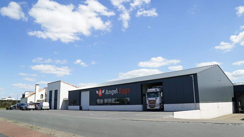 The Engelen family bought a bankrupt rose nursery in Someren, Ploegstraat 64, and rebuilt it into a storage and transshipment company for hatching eggs. The hailstorm in June 2016 delayed the construction, which took 3,5 years in total.