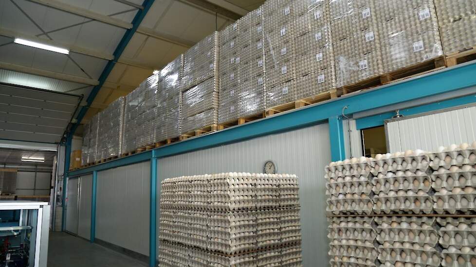 The packaging materials. „We have approximately 100.000 euros of packaging materials in our stock. We had not foreseen this in the beginning. We let the trays dry because this is better for the hatching eggs”, explains Twan Engelen.