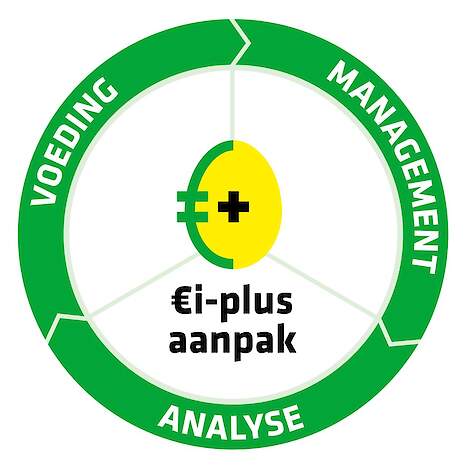 logo ei-plus aanpak