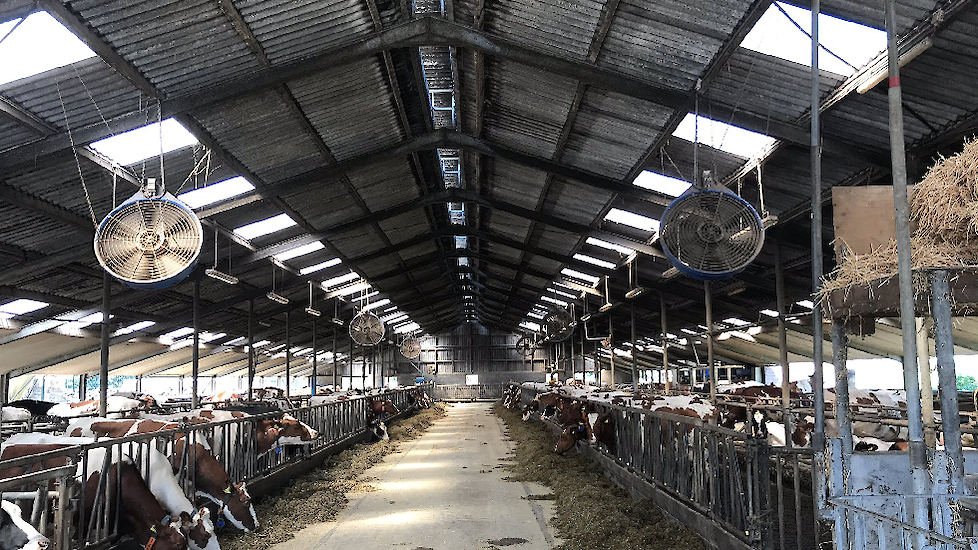 "Ventilatoren draaien vol op. De aanschuifrobot gevuld met lokbrok. En de sproeiers op het dak aan. #geenhittestress bij de koeien", schrijft melkveehouder Arjan Dekker uit Dalfsen (OV)