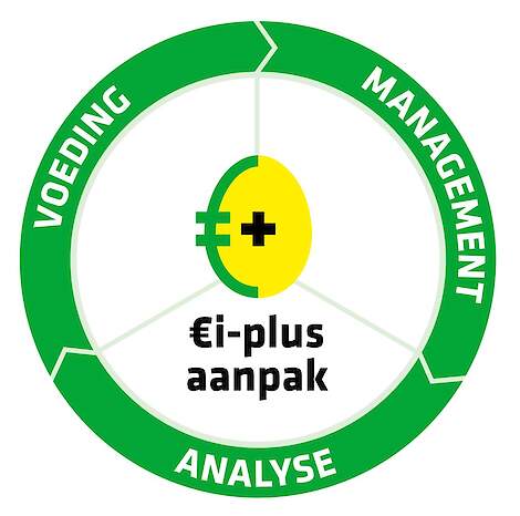 AR Ei-plus aanpak