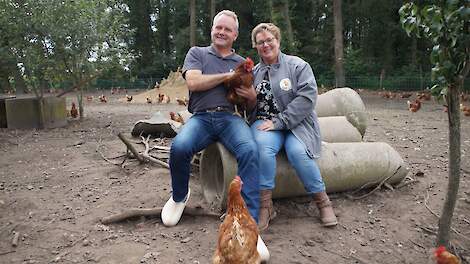 Biologische legpluimveehouder ziet kans in BioEggie - Pluimveeweb