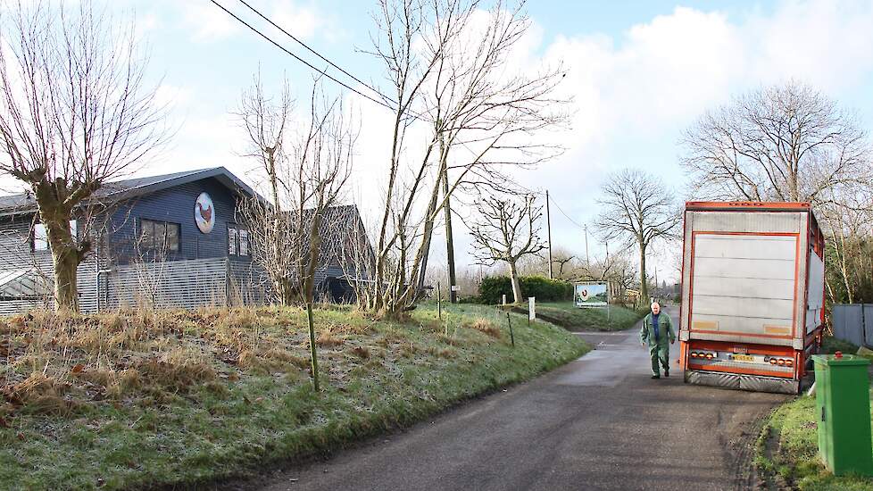 ‘De ganzen vielen hier dood op straat’