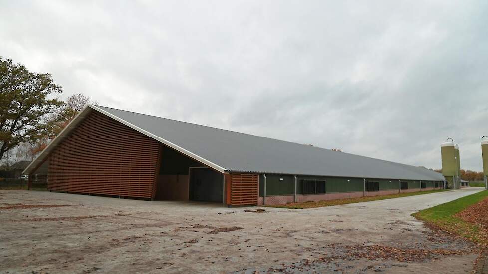 Sleegers houdt met zijn bedrijf Jofra Poultry 276.000 reguliere vleeskuikens in 12 stallen. Hij werkt al 10 jaar met luchtwassers en optimaliseerde het systeem samen met Inno+. Hij wil zo min mogelijk overlast voor de buurt. De nieuwste stal heeft een moo