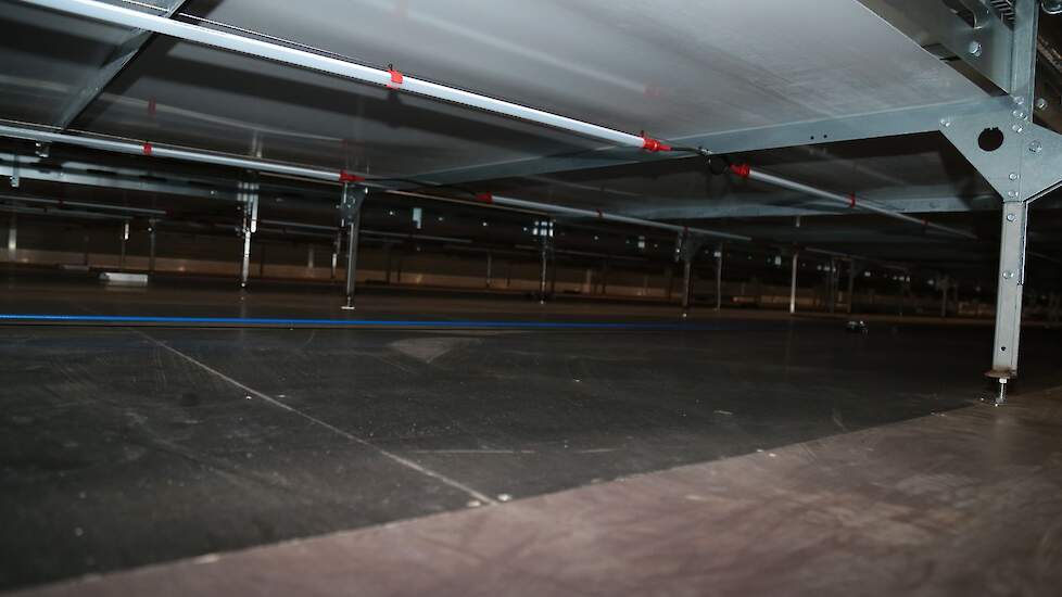 Op de bovenste etage lopen de hennen op een betonplexvloer.