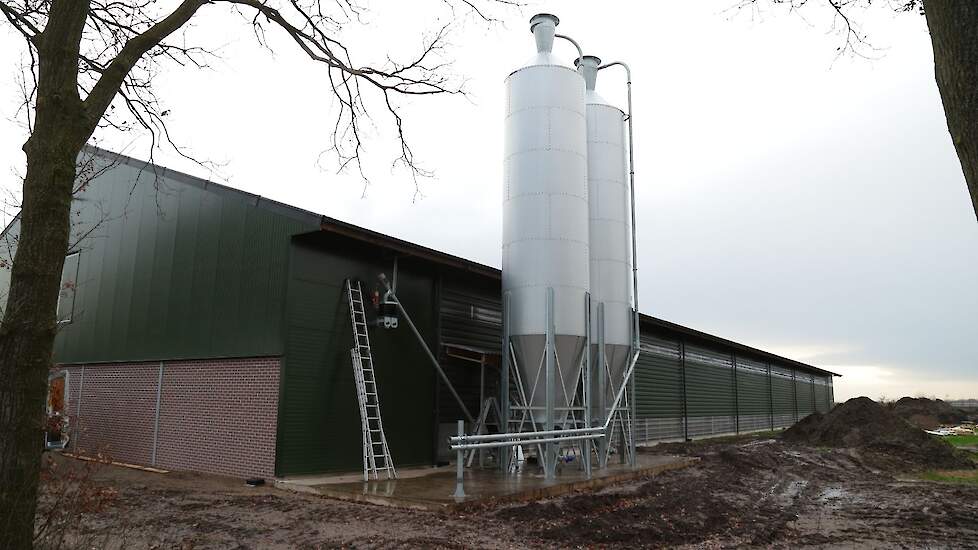 De pluimveehouder investeerde in twee nieuwe zogenoemde Mafa silo’s. „Die zorgen voor dat het voer wat het eerst in de silo is geblazen er ook weer als eerste uit komt. Bij de oude silo’s ontstaat nog ontmenging. Dat moet bij deze silo’s niet meer mogelij