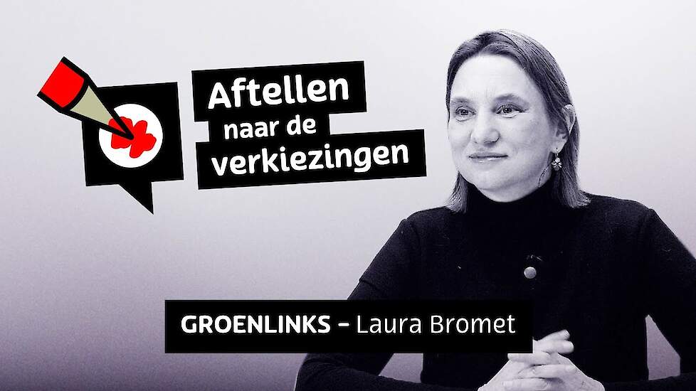 Aftellen naar de verkiezingen - Laura Bromet