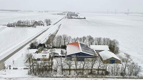 Foto ter illustratie