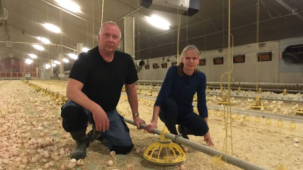 Jan Pieter (55) en zijn vrouw Aletta (54) Bierema houden in Usquert (GR) in twee stallen 85.000 reguliere vleeskuikens en hebben 67 hectare akkerbouw. Zoon Jan Dirk (28) wil het bedrijf in de toekomst overnemen. Hij heeft nu nog een fulltime baan buitensh