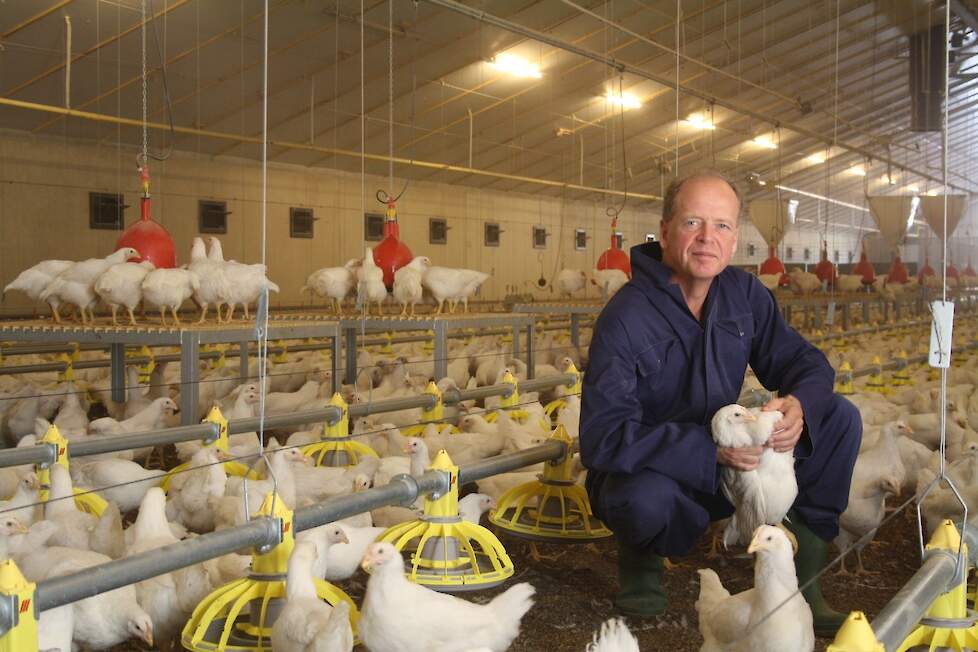 Pluimveedierenarts Peter Wijnen stopt na bijna 30 jaar bij pluimveepraktijk de Achterhoek en is met pensioen.