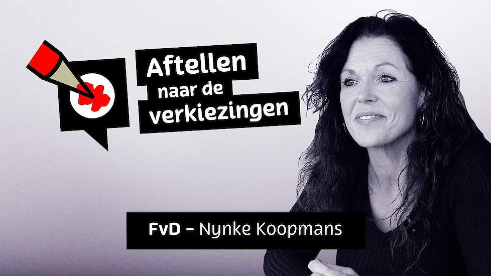 Aftellen naar de verkiezingen - Nynke Koopmans