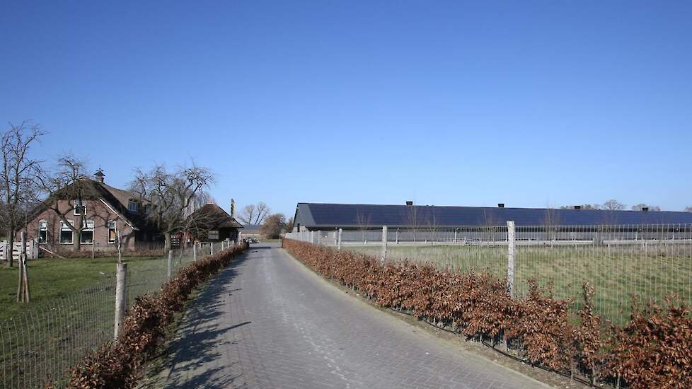 Om een legpluimveestal te kunnen bouwen op het voormalig gemengd bedrijf van zijn grootouders eiste de gemeente forse emissie reductie. „Wij wonen hier in een zeer pluimveedichtgebied. Binnen een straal van 500 meter zitten 300.000 kippen. De voorwaarde o