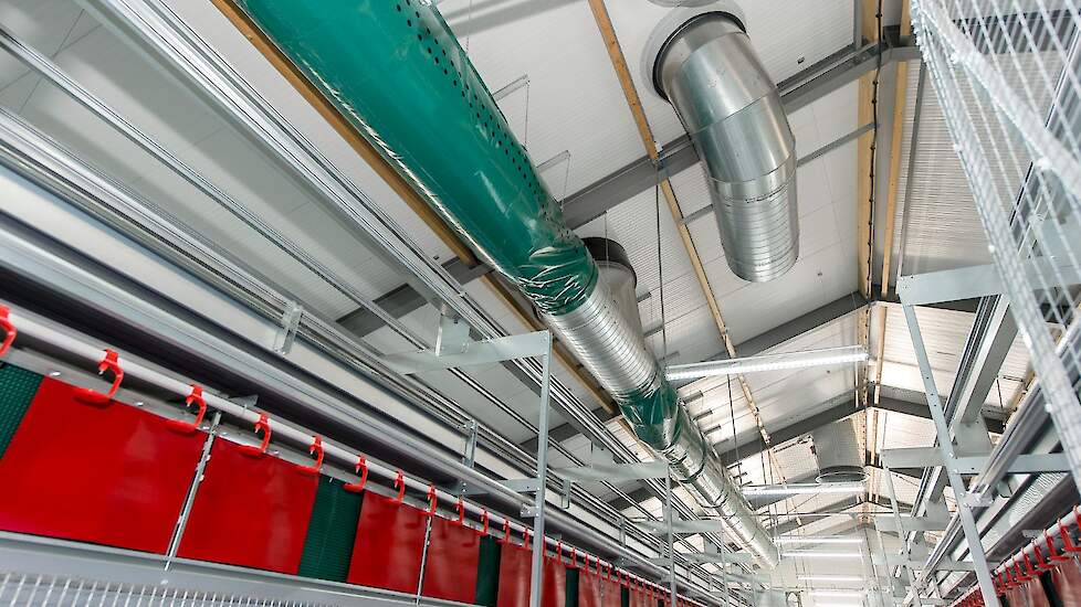 Het ventilatiesysteem in de stal voordat het eerste koppel opgezet werd. De groene slang zorgt voor de aanvoer van de lucht, de afzuiging gaat via de stalen buizen.