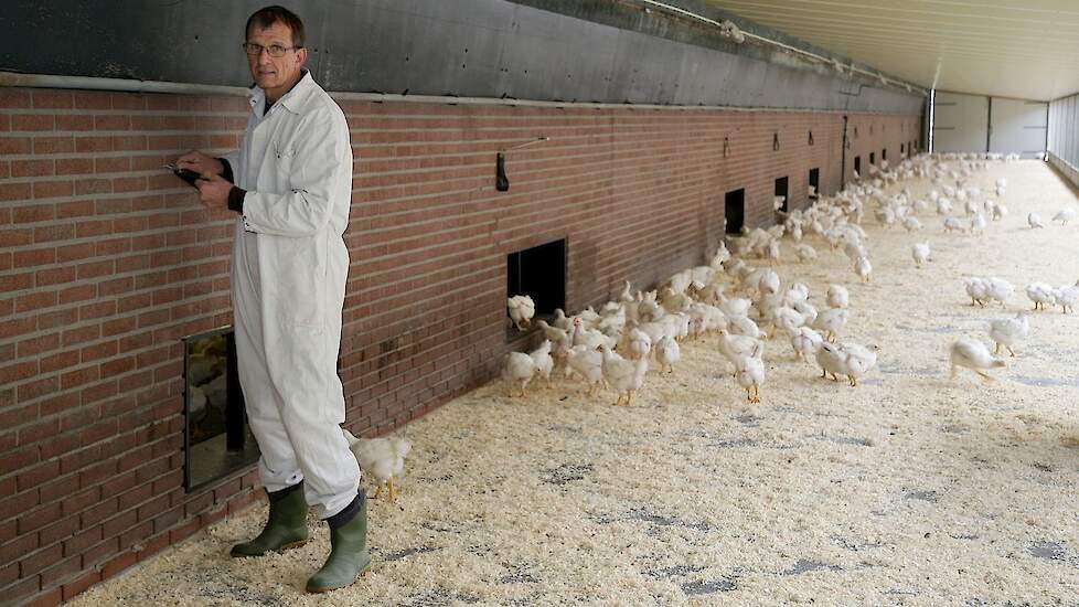 Vleeskuikenhouder Niek van den Borne (64) uit Reusel (NB) is benoemd tot Ridder in de Orde van Oranje-Nassau. Hij heeft samen met diverse organisaties gewerkt aan de ontwikkeling van het concept Volwaard kip.