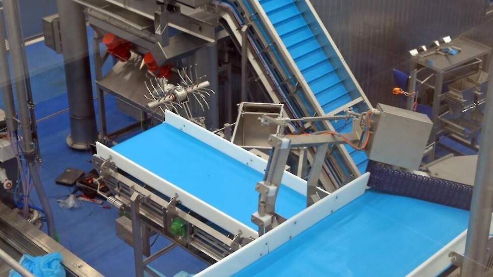 Het productieproces is nagenoeg volledig geautomatiseerd. „Na het injecteren en tumbelen van het vlees kunnen we in één lijn garen, koelen, snijden, IQF (Individual Quick Frozen) invriezen of pasteuriseren en verpakken”, licht Jos Koedijk toe.