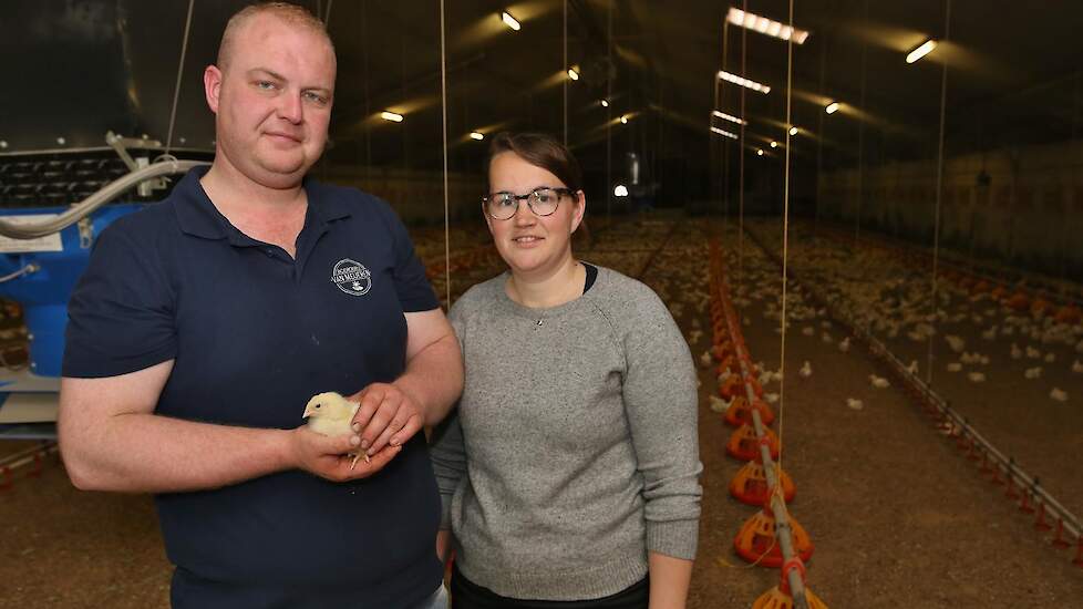 Van de overstap naar Tante Door hebben ze tot op de vandaag nog geen spijt. „De opbrengsten zijn goed en het welzijn is echt verbeterd. Je ziet mooie sterke kippen in de stal lopen die geen last hebben van ziektes. Antibiotica gebruiken we ook niet en we