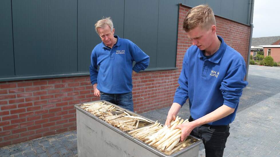 Van Lith heeft een 30 tal scholieren op de loonlijst staan. Joost van Lith (27): „We hebben bewust gekozen voor scholieren in plaats van buitenlandse werknemers en daar onze planning op afgestemd.” De jongens steken asperges van 18 tot 21 uur. De meiden s