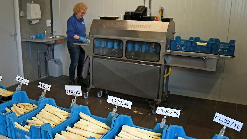 Vorig jaar bouwde Van Lith een loods met een boerderijwinkel. De schilmachine staat in de winkel. Opslag, wassen en sorteren in de ruimte erachter. Het credo is ‘Heerlijke asperges voor een eerlijke prijs’. Vers en kwaliteit is hun kracht. Steeds meer asp