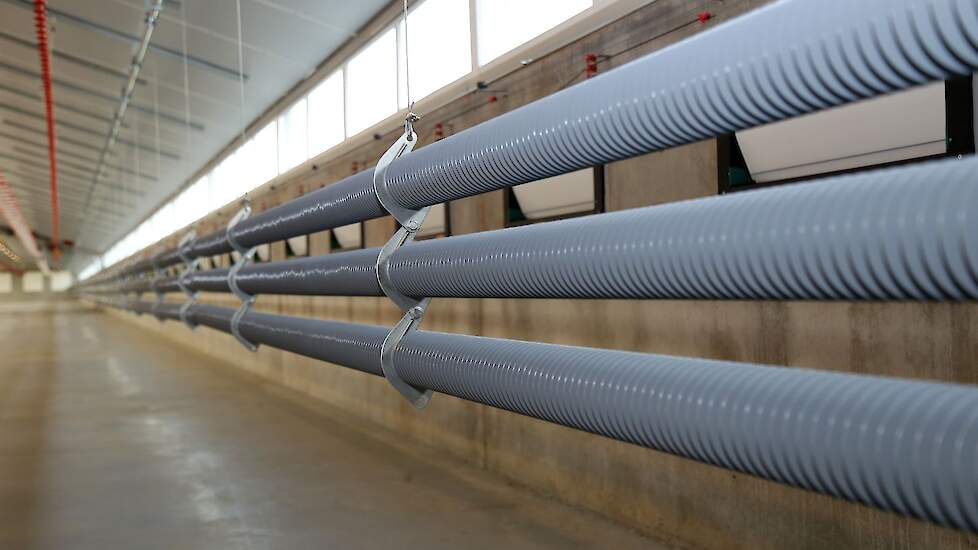Pluimveehouders in Vlaanderen krijgen na 2030 enkel nog een vergunning voor een ammoniak-emissie-arme stal (AEA). De afgelopen jaren pasten Vlaamse vleeskuikenhouders onder meer buizenverwarming (zie foto) toe om de uitstoot van ammoniak te reduceren.