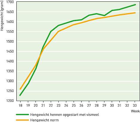 Gewicht hennen opgestart met vismeel