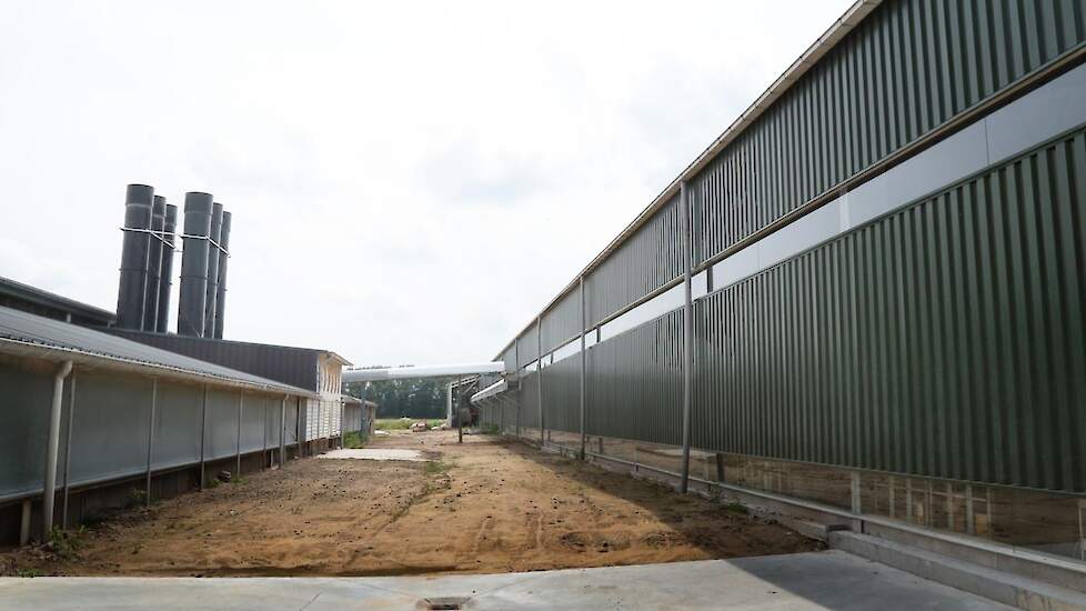 Achteraanzicht, links de nieuwe stal, rechts de oude. De romp van de nieuwe stal is 5 jaar geleden al gebouwd en is het dak volgelegd met zonnepanelen. De stal was nog niet ingericht omdat ze de pluimveerechten nog goed konden verleasen.   „We hebben nu g