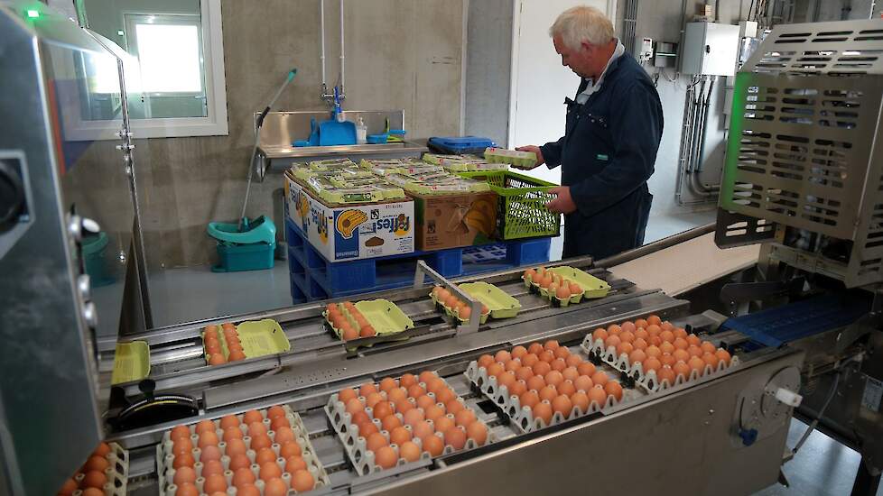De eierinpakker kan de eieren zowel in doosjes als op trays inpakken. De familie verkoopt een deel van hun eieren in hun gele eierkeet aan huis en rechtstreeks aan boerderijwinkels en horeca in de buurt van Woltersum dat vlakbij de stad Groningen ligt. „W